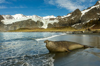 SOUTH GEORGIA