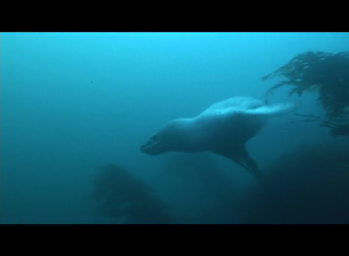 David Cothran David Cothran | VIDEO